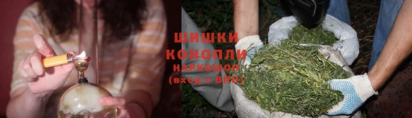 соль ск Каменка