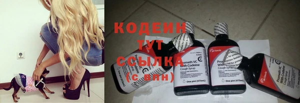 крисы Каменногорск