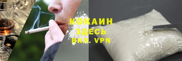 крисы Каменногорск