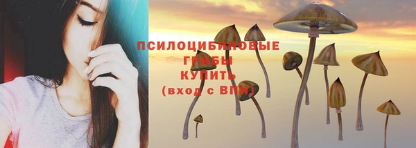 крисы Каменногорск