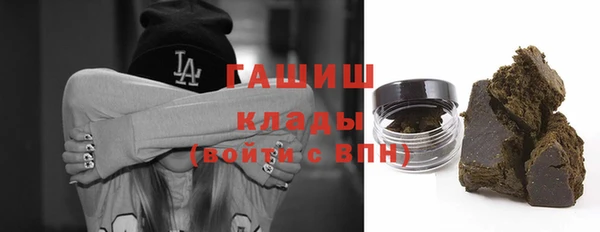 соль ск Каменка