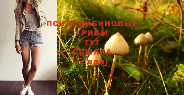 меф Каменск-Шахтинский