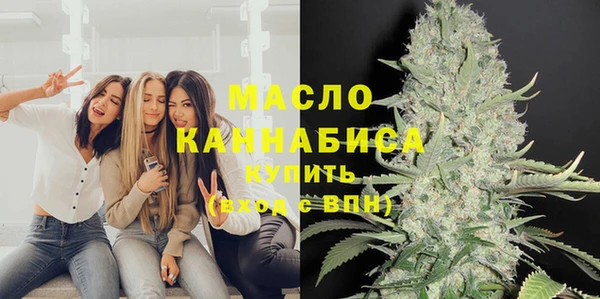 соль ск Каменка