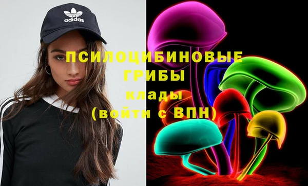 меф Каменск-Шахтинский