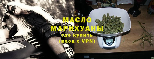 соль ск Каменка