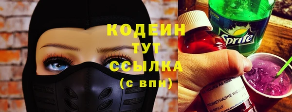 соль ск Каменка