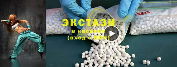 соль ск Каменка