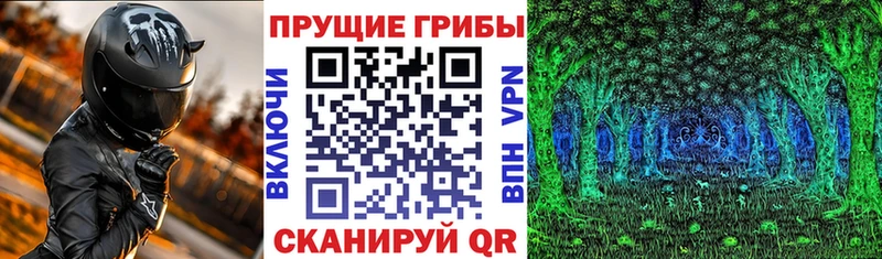 Галлюциногенные грибы ЛСД  Купить где  Балтийск 
